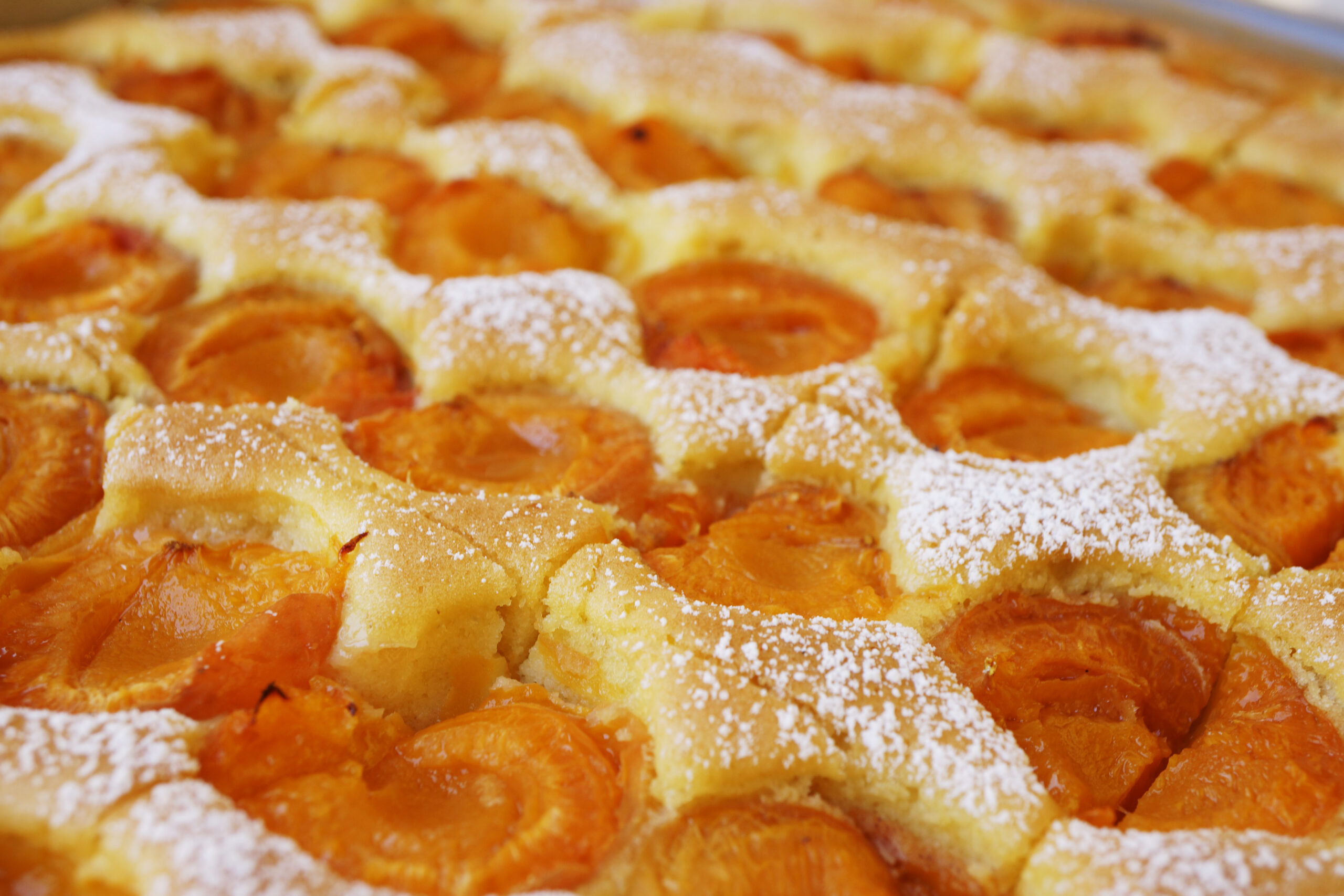 aufreiter marille 104 by steve haider 2013